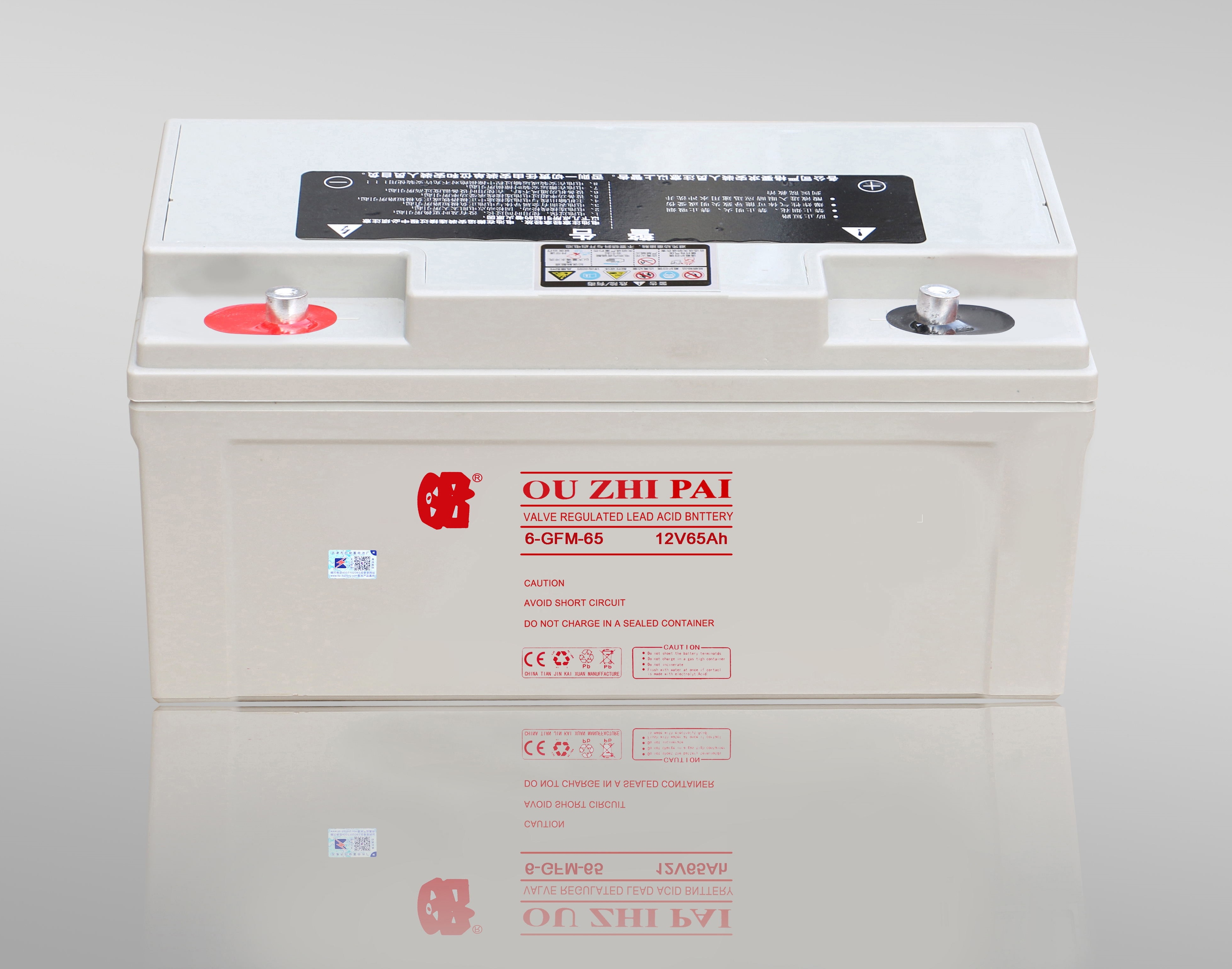 欧志阀控密封式铅酸蓄电池6-GFM-65 12V65Ah SKU:zxk-240709145623