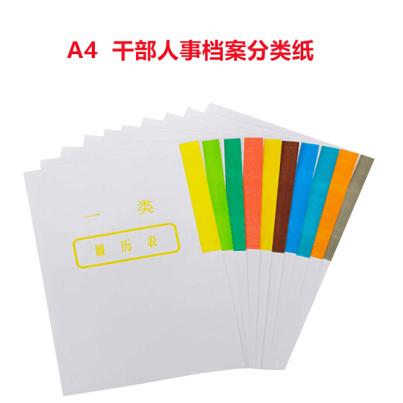金文誉 干部人事档案分类纸 十大分类纸 十大分类角 彩色分类纸 1-10类混合装 十大分类纸  zxk-251108170152